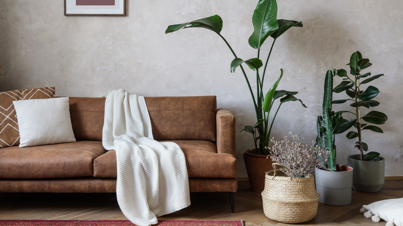 Modern Living Room with plant decoration